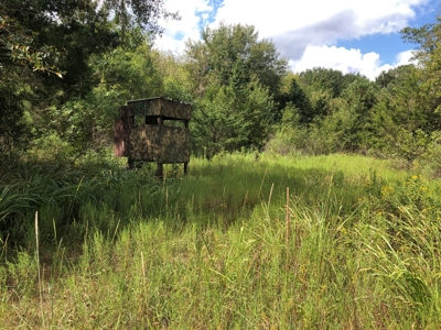 Recreational and Hunting Land Red River County - image 22