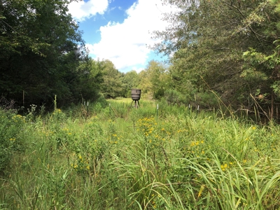 Recreational and Hunting Land Red River County - image 23