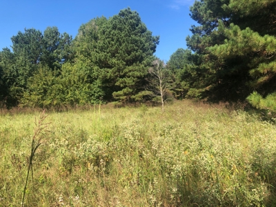 Recreational and Hunting Land Red River County - image 10