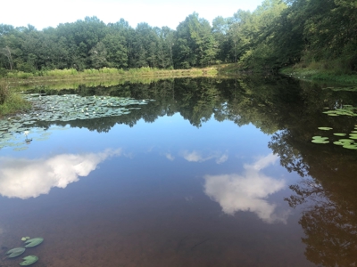 Recreational and Hunting Land Red River County - image 17