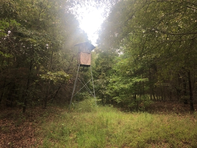 Recreational and Hunting Land Red River County - image 26