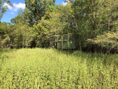 Recreational and Hunting Land Red River County - image 21