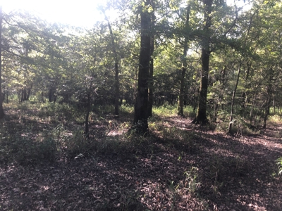 Recreational and Hunting Land Red River County - image 6