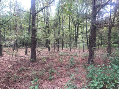 Recreational and Hunting Land Red River County - image 1