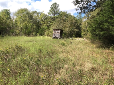 Recreational and Hunting Land Red River County - image 24