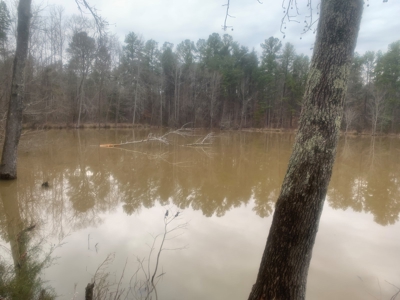 30+/-Acreage, Pond, Bass, Deer, Turkeys, land, Woodruff, SC - image 3