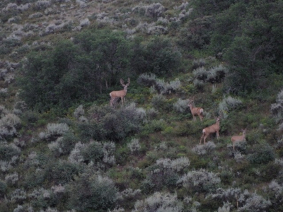Colorado Mountain Hunting Ranch with Lodge and Airstrip - image 23