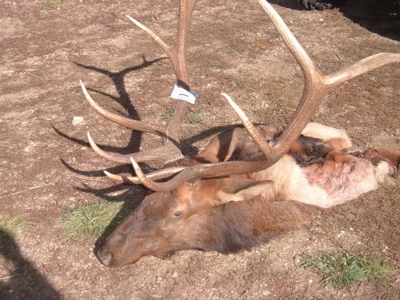 Colorado Mountain Hunting Ranch with Lodge and Airstrip - image 20