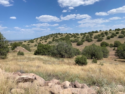 Two Acres for Sale in Chino Valley AZ No HOA - image 4