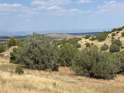 Two Acres for Sale in Chino Valley AZ No HOA - image 3