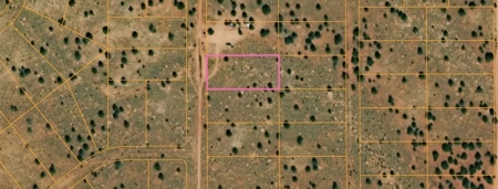 Wide Open Spaces - image 1