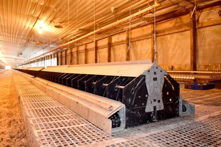 Poultry/Cattle Farm and 100 acres for Sale in Mississippi - image 3