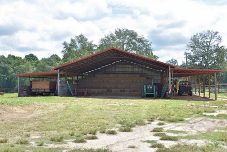 Poultry/Cattle Farm and 100 acres for Sale in Mississippi - image 19