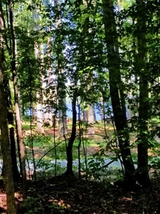 Lake View & Privacy On Lake Gaston, NC - image 2