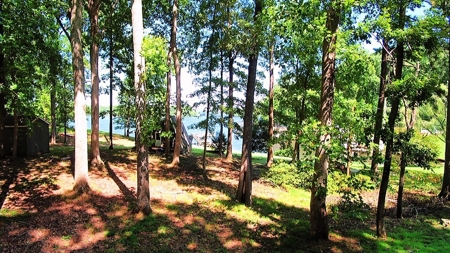 Lake View & Privacy On Lake Gaston, NC - image 8