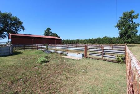 Large Cattle Ranch For Sale Red River County Bagwell Texas - image 16