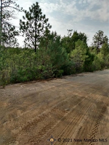 Land With Views In Timberon New Mexico - image 5