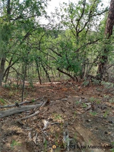 Land With Views In Timberon New Mexico - image 2
