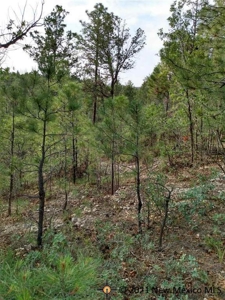 Land With Views In Timberon New Mexico - image 1