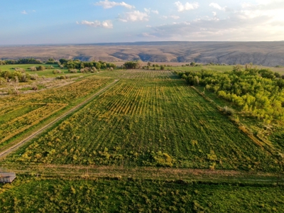 Hotchkiss Country Home With Ponds Irrigated Acreage For Sale - image 8