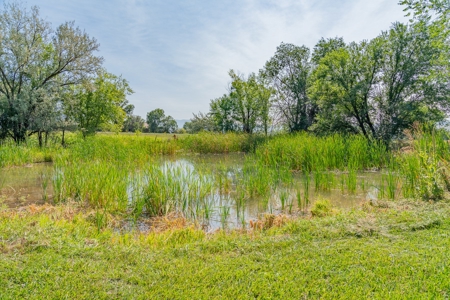 Hotchkiss Country Home With Ponds Irrigated Acreage For Sale - image 33