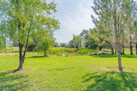 Hotchkiss Country Home With Ponds Irrigated Acreage For Sale - image 32