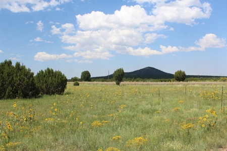 Mountain Residential Land for Sale Near Vernon AZ - image 1
