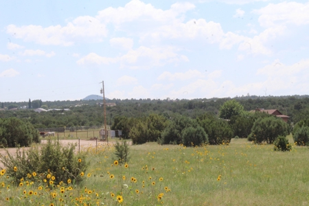 Mountain Residential Land for Sale Near Vernon AZ - image 3