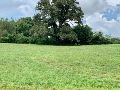 For Sale 622 Blue Water Dr, Cookeville TN 38506 - image 2