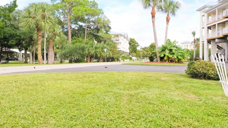 Beautiful Condo In Suwannee Florida! - image 33