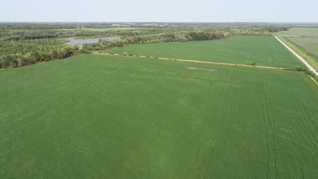 583+/- Acres, Prime Carroll County Bottom - image 12
