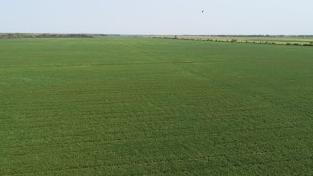 583+/- Acres, Prime Carroll County Bottom - image 2