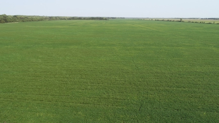 583+/- Acres, Prime Carroll County Bottom - image 5
