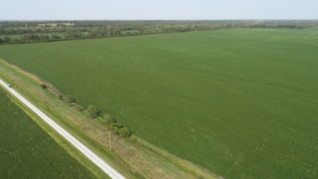 583+/- Acres, Prime Carroll County Bottom - image 3