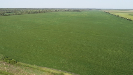 583+/- Acres, Prime Carroll County Bottom - image 1
