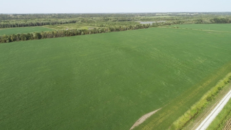 583+/- Acres, Prime Carroll County Bottom - image 14