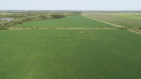 583+/- Acres, Prime Carroll County Bottom - image 11