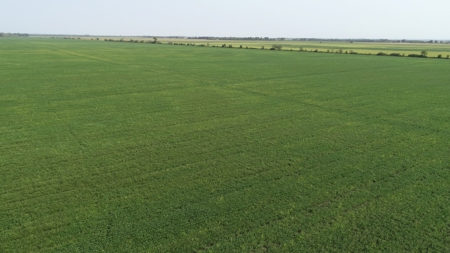 583+/- Acres, Prime Carroll County Bottom - image 6