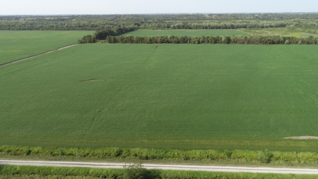 583+/- Acres, Prime Carroll County Bottom - image 15