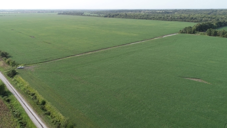 583+/- Acres, Prime Carroll County Bottom - image 16