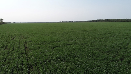 583+/- Acres, Prime Carroll County Bottom - image 9