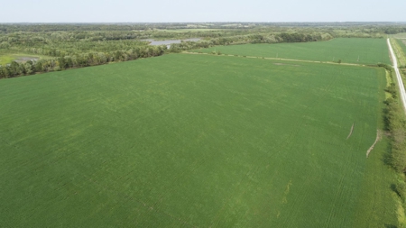583+/- Acres, Prime Carroll County Bottom - image 13