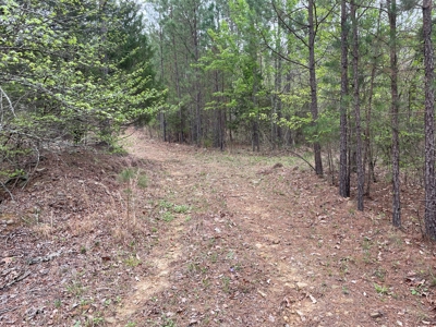 Mountain Land for Sale - image 7