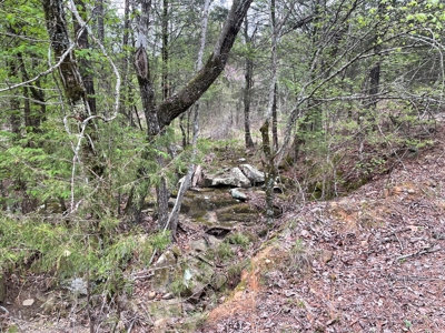 Mountain Land for Sale - image 6