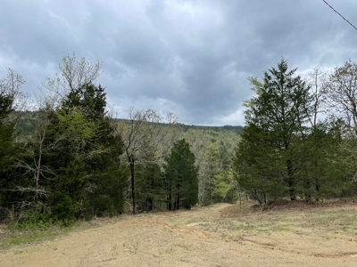 Mountain Land for Sale - image 10