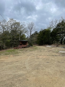 Mountain Land for Sale - image 9