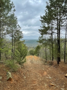 Mountain Land for Sale - image 1