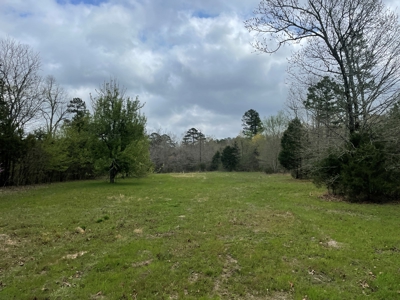 Mountain Land for Sale - image 5