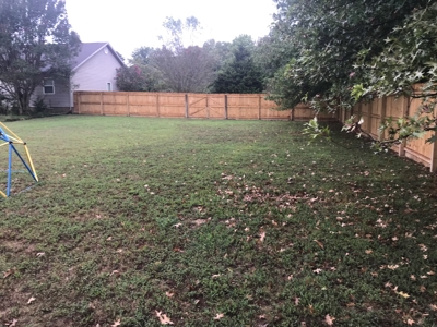 Home In The Country near Mountain View Arkansas - image 37