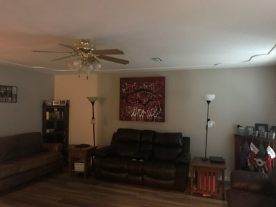 Home In The Country near Mountain View Arkansas - image 12